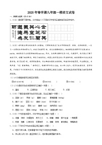 2025年甘肃省武威市凉州区柏树片中考一模语文试题（含答案）