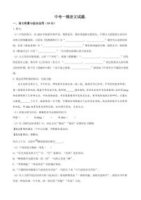 2025年安徽省中考一模语文试题附答案