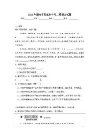 2025年湖南省娄底市中考二模语文试题（无答案）