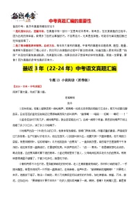专题13  小说阅读-【真题汇编】最新3（22-24）中考语文真题分类汇编（全国通用）