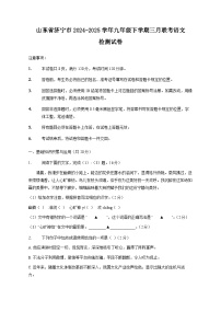 山东省济宁市2024-2025学年九年级下学期三月联考语文检测试卷（附答案）