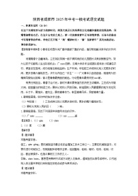 陕西省咸阳市2025年中考一模考试语文试题（解析版）