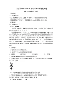广东省深圳市2025年中考一模考试语文试题（解析版）
