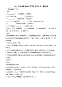 2024年山东省烟台市芝罘区中考二模语文试题（解析版）