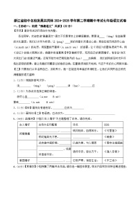 浙江省温州市初中名校发展共同体2024-2025学年七年级下学期期中语文试卷