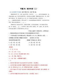 中考语文必刷真题精选 专题08：综合考查（二）（教师版）