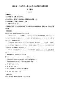 湖南省娄底市涟源市2024-2025学年九年级下学期期中语文试题（含答案）