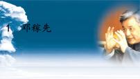 初中语文人教部编版（2024）七年级下册（2024）邓稼先一等奖ppt课件