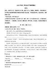 2025年广东省深圳市光明区中考二模语文试题（含答案）