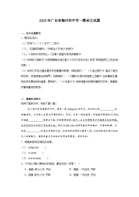 2025年广东省梅州市中考一模语文试题（含答案）