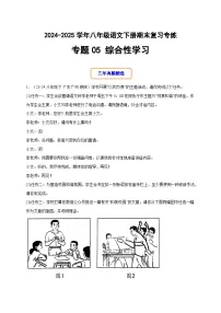 八年级语文下册期末专题05 综合性学习（原卷+答案）2024-2025学年统编版（全国通用 ）