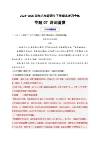 八年级语文下册期末专题07 诗词鉴赏（原卷+答案）2024-2025学年统编版（全国通用 ）