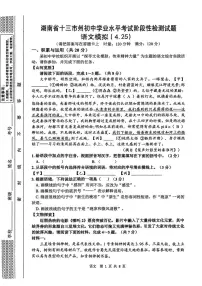 2025年湖南省十三市州初中学业水平考试阶段性检测试题语文试卷（中考模拟）