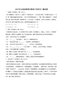 2025年山东省菏泽市曹县中考语文二模试卷(含详细答案解析)