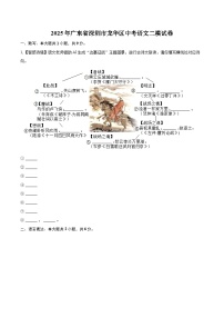 2025年广东省深圳市龙华区中考语文二模试卷(含详细答案解析)