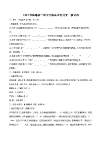 2025年福建省三明市尤溪县中考语文一模试卷(含详细答案解析)