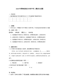 2025年青海省格尔木市中考二模语文试题（含答案）