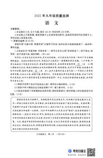 2025年河南省驻马店市驿城区部分初中联考中考一模语文试题