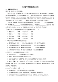 湖南省邵阳市武冈市2025年七年级下学期语文期末试卷及答案