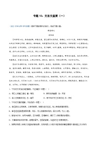 中考语文专题10：文言文鉴赏（一）（练习版）