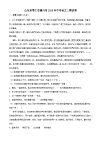 山东省枣庄市滕州市2025年中考语文二模试卷（含答案）