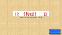 语文八年级下册第三单元12《诗经》二首蒹葭精品ppt课件