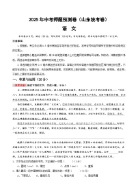 2025年中考押题预测卷：语文（山东统考卷）（考试版）