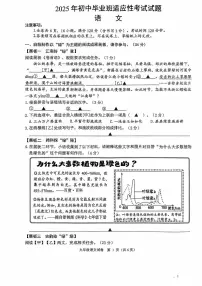 2025年浙江省诸暨市初中毕业生适应性考试语文试题（中考模拟）