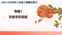 专题01：字音字形词语（考点串讲）-2024-2025学年八年级语文下学期期末考点大串讲统编版课件