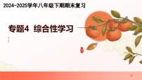 专题04：综合性学习（考点串讲）-2024-2025学年八年级语文下学期期末考点大串讲统编版课件