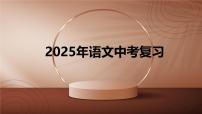 2025年中考语文二轮复习 专题九  文言文阅读（十） 课件