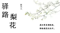 初中语文人教部编版（2024）七年级下册（2024）驿路梨花集体备课课件ppt
