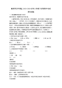 重庆市沙坪坝区2023-2024学年八年级下学期期中考试语文试题（解析版）