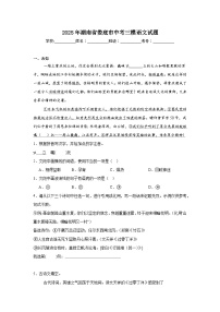 2025年湖南省娄底市中考三模语文试题（无答案）