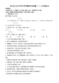 2025年西藏自治区日喀则市昂仁县中考一模语文试题（含答案）