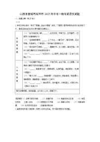 山西省晋城市高平市2025年中考一模考试语文试题（解析版）