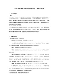 2025年安徽省宣城市宁国市中考二模语文试题（含答案）