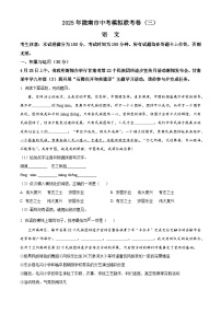 2025年甘肃省陇南市中三模语文试题（中考模拟）