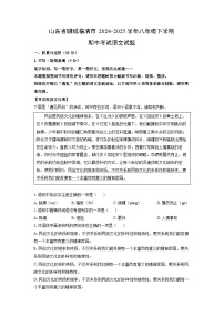 山东省聊城临清市2024-2025学年八年级下学期期中考试语文试卷（解析版）