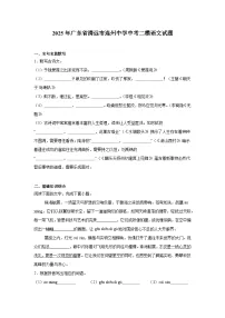 广东省清远市连州中学2025年4月中考二模 语文试题（含解析）