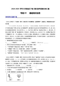 七年级语文下册 期末真题分类 01 基础知识运用（原卷+答案解析）2024-2025学年 统编版