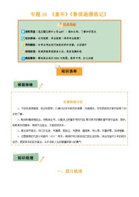 2025年中考语文专项复习讲义专题16 《童年》《鲁滨逊漂流记》(2份思维导图+2部名著梳理+突破易错易混6法)(原卷版)