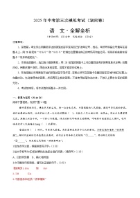 2025年中考数学第三次模拟考试卷：语文（湖南卷）（解析版）