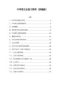 中考语文部编版专题知识点