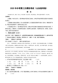 2025年中考数学第三次模拟考试卷：语文（山东统考卷）（考试版）