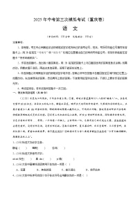 2025年中考数学第三次模拟考试卷：语文（重庆卷）（考试版）