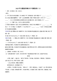 2025年安徽省淮南市中考三模语文试题（含答案）