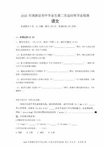 2025年广东省清远市清新区中考二模语文试题含答案