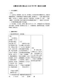安徽省合肥市蜀山区2025年中考二模语文试题（含答案）