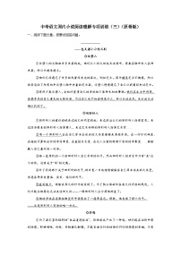 中考语文国内小说阅读理解专项训练（三）-2026年中考语文一轮复习现代文阅读训练（全国通用）